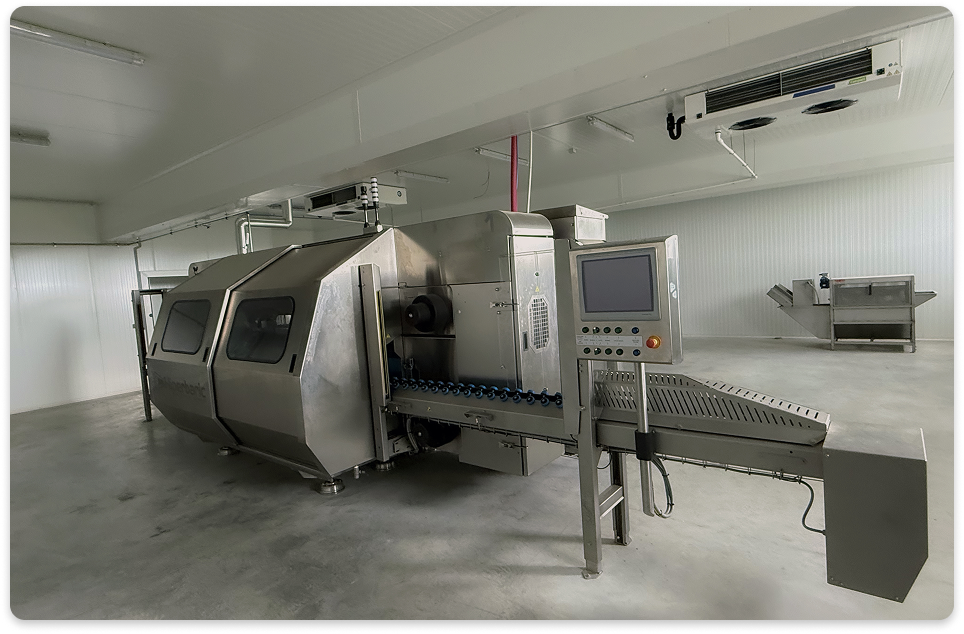 Freeze‑drying machine